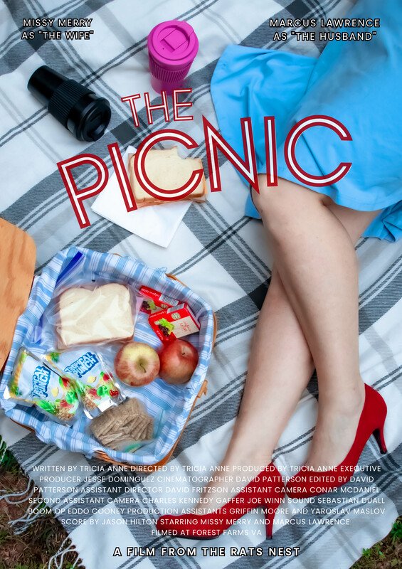 POSTER - The Picnic.jpg