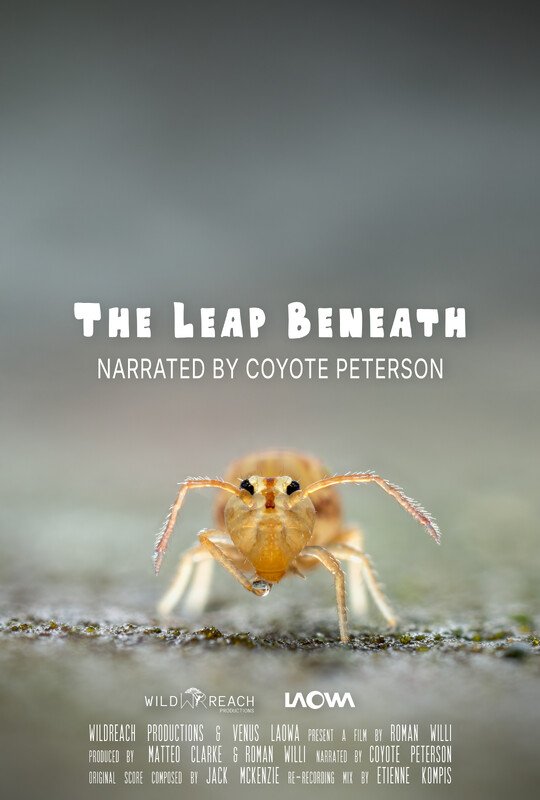 Poster - The Leap Beneath.jpg
